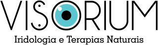 logo visorium